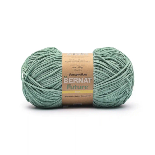 Bernat Future Hope Yarn (170g/6oz)