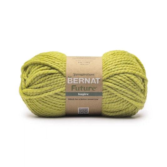 Bernat Future Inspire Yarn (170g/6oz)