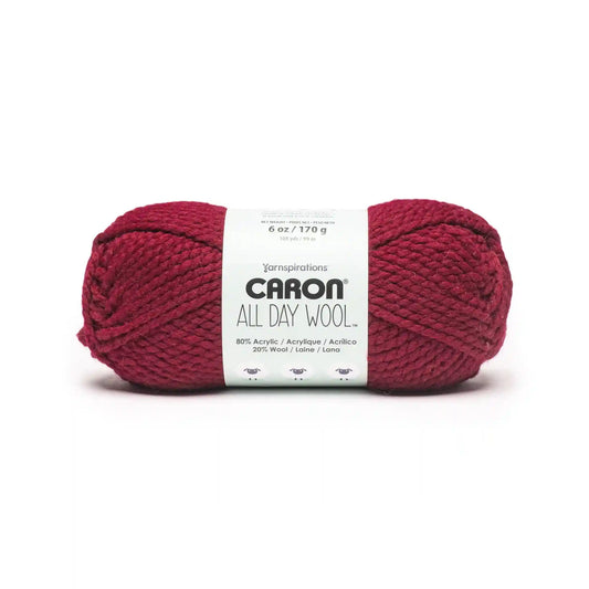 Caron All Day Wool Yarn (170g/6oz)