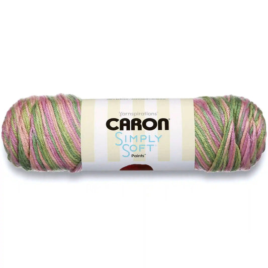 Caron Simply Soft Paints Yarn