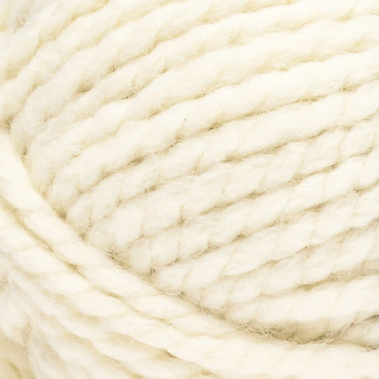 Caron All Day Wool Yarn (170g/6oz)