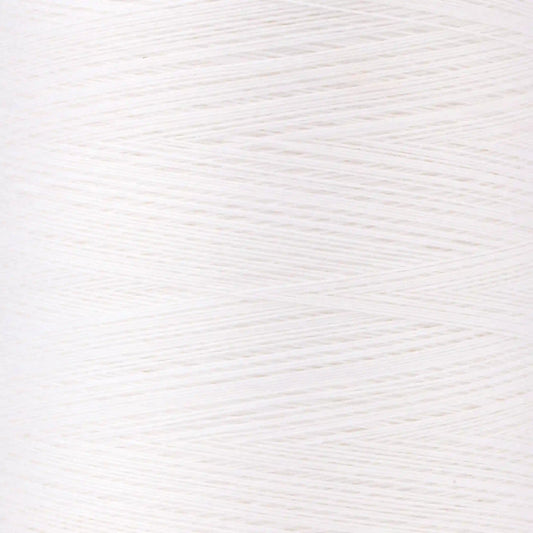 Coats & Clark Professional Machine Quilting Thread (3000 Yards)